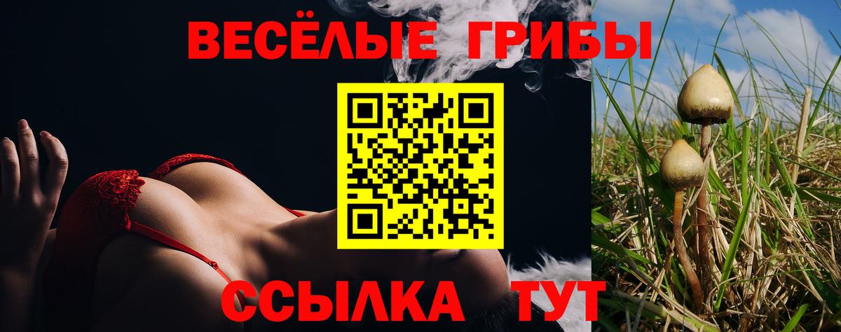 Галлюциногенные грибы ЛСД Каменск-Шахтинский
